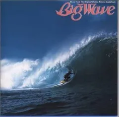 2025年最新】レコード山下達郎 Big Waveの人気アイテム - メルカリ