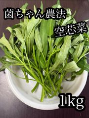 和歌山県産 空芯菜 1kg 菌ちゃん農法 【農薬・化学肥料・動物性肥料不使用】 農家直送