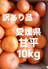 訳あり品　愛媛県　家庭用　甘平　柑橘　 10kg