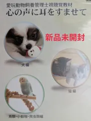 2026年最新】ビジュアルと動画でわかる!犬と猫の腹部超音波の描出