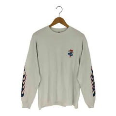 CHALLENGER イーグルデザイン ロングスリーブTシャツ M ロンティー