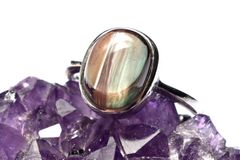 Item thumbnail for item 761797a7-da05-426d-8d77-84ac804edec5