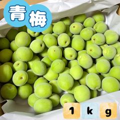福岡県産 青梅 1kg ★梅しごと始めませんか