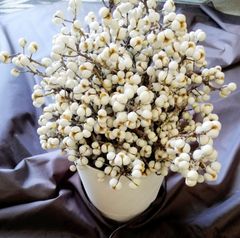 Item thumbnail for item a9af541c-c5ef-4533-bcce-9cb6598eda91