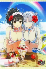 【中古】タペストリー [単品] 飛鳥＆雪泉 描き下ろしB2タペストリー 「Switchソフト 閃乱忍忍忍者大戦ネプテューヌ -少女達の響艶- ファミ通DXパック」 同梱特典
