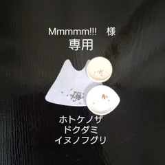 Mmmmm!!!　様　専用　イヌノフグリ/ホトケノザ/ドクダミ