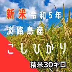 新米 令和5年産 こしひかり　精米30キロ 淡路島産 産地直送