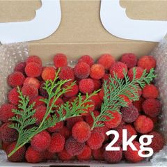 やまもも 完熟 1kg 高知県産 - メルカリ