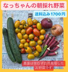 なっちゃんの朝採れ野菜