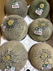アンデスメロン （LAサイズ5個 Lサイズ1個） 箱込5.7キロ程度 茨城県産