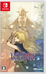 ロードス島戦記-ディードリット・イン・ワンダーラビリンス- - Switch(中古品)