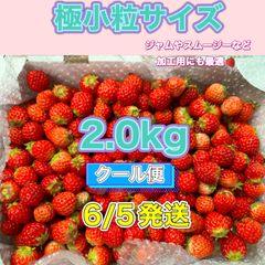極小粒サイズ 約2.0kg　紅ほっぺ　いちご