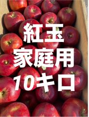 青森県産りんご紅玉家庭用10キロ