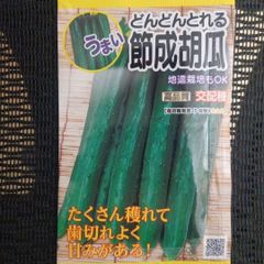 未開封＜野菜の種＞きゅうり　節成胡瓜　1.5ｍｌ　地這い栽培もＯＫ　キュウリ