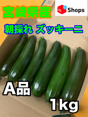 宮崎県産 ハウス栽培 朝採れ ズッキーニ 1キロ A品 宅急便コンパクト 美肌効果 免疫力アップ 便秘解消 血圧対策 ダイエット