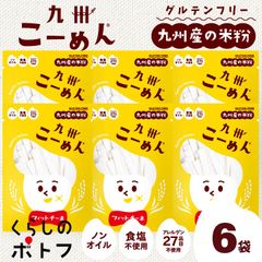 米粉麺 グルテンフリー 九州こーめん フィットチーネ 6袋 アレルゲン27品目不使用 平麺