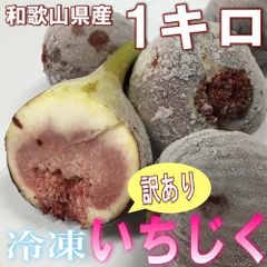 冷凍いちじく 和歌山県産 訳あり 冷凍イチジク 1kg（500g×2）発送開始予定日:8月中旬〜