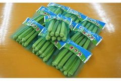 高知産オクラ70g30入　☆2