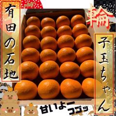 いしじみかん　箱いっぱい♡コンパクト便