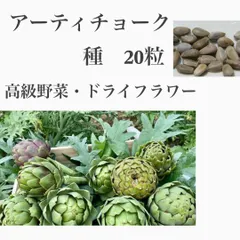 2025年最新】ベトナム野菜種の人気アイテム - メルカリ