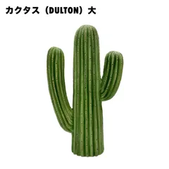 2025年最新】DULTON 置物の人気アイテム - メルカリ
