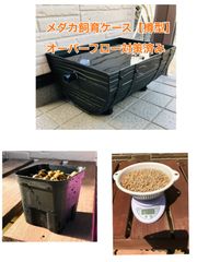 樽型メダカ飼育ケース【大】麦飯石セット - メルカリ