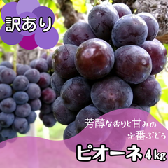 訳あり！岡山県産ピオーネ（種なし）４キロ　送料込み　ぶどう　産地直送　常温発送　匿名配送可