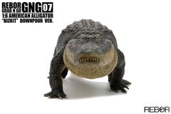 REBOR 1/6 アメリカアリゲーター 動物 ワニ フィギュア模型 おもちゃ ブラック