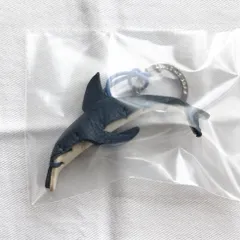 2025年最新】イルカリングの人気アイテム - メルカリ 