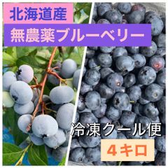 北海道産　冷凍　農薬不使用　ブルーベリー　4キロ