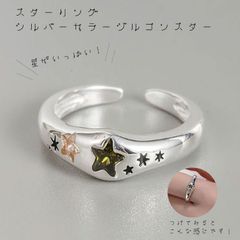 スターリングシルバーカラージルコンスター