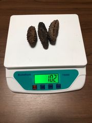 工場直売　関西産　A級品 乾燥赤なまこ  100g3匹 (計量時102g3匹)