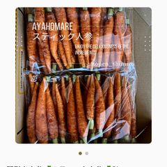 ハネ出し品「白・黄」とうもろこし 10kg箱 クール便 - メルカリ
