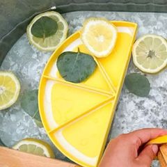 Lemonade Bio Tray レモン バイオセンサリープレイ トレイ