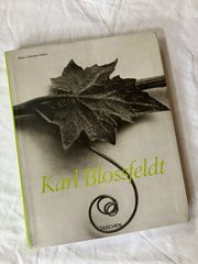 カール・ブロスフェルト　写真集　Karl Blossfeldt