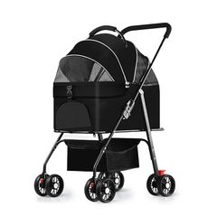 Item thumbnail for item e3194e49-dd6d-4f88-ba12-d6a4dc66657a