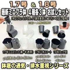 平日＊日中注文即日発送-新感覚ミニサイズ感＊1.7号ミニスリット2色＋1.7号八角ミニプラ鉢＋1.8号カップ型プラ鉢:4種各3鉢⇒計12鉢お試しセット※1回限り＠フラワーショップ江口