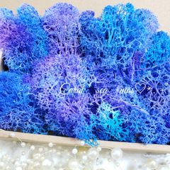 サンゴ風モス　*.❁花材　プリザーブドフラワー　海花材