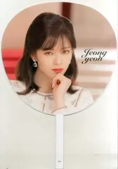 【中古】うちわ(女性) ジョンヨン うちわ 「TWICE DOME TOUR 2019 “#Dreamday”」