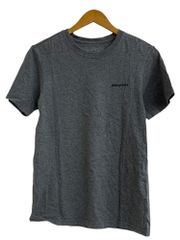 patagonia (パタゴニア) Tシャツ フィッシュイラスト XS グレー メンズ/004