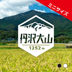 ミニ【丹沢 大山】山ステッカー　カッティング【切り文字タイプ】ポスト投函