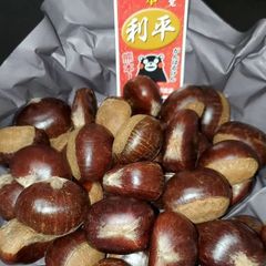 利平栗　5kg