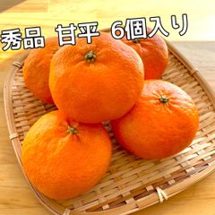 愛媛県産　秀品　甘平　6個