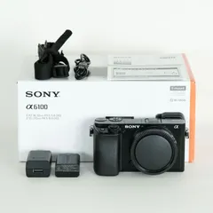 2025年最新】α6100の人気アイテム - メルカリ