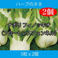 ハーブ種子 THA02 ナポリ フィノッキオ 5粒 x 2個