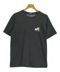 STUSSY Tシャツ・カットソー メンズ 【古着】【中古】【送料無料】
