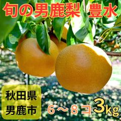 男鹿梨「豊水」3kg  大将梨園　秋田県男鹿市産