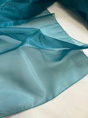 Item thumbnail for item acc01252-e250-44f9-b008-fe52cadab1fd