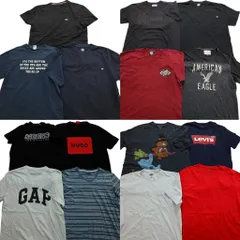 古着卸 まとめ売り ブランドMIX 半袖Tシャツ 15枚セット (メンズ L /XL ) リーバイス GAP ディッキーズ オールドネイビー 中古 古着 NC0614