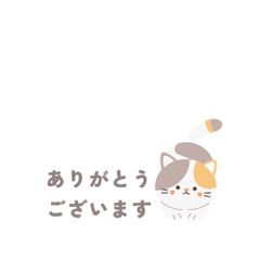 shop-thumbnail